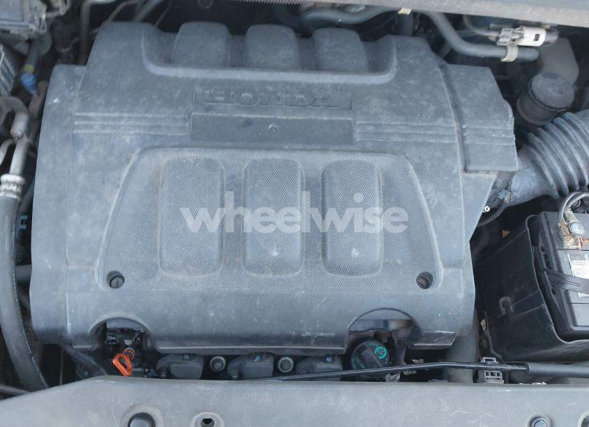 Photo 10 of 2009 Honda Odyssey EX-L (VIN 5FNRL38749B001460)