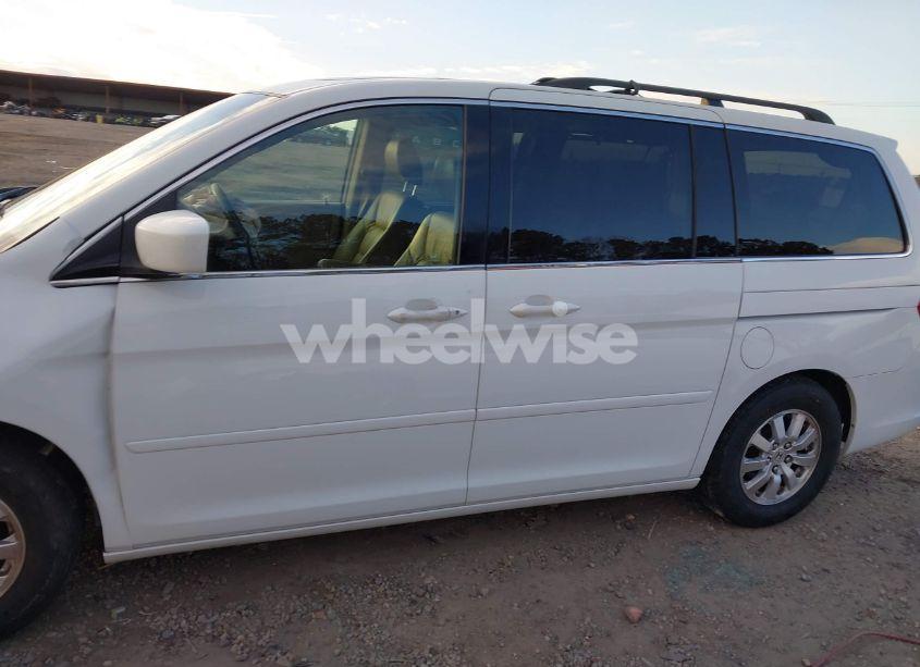 Photo 15 of 2009 Honda Odyssey EX-L (VIN 5FNRL38749B011681)