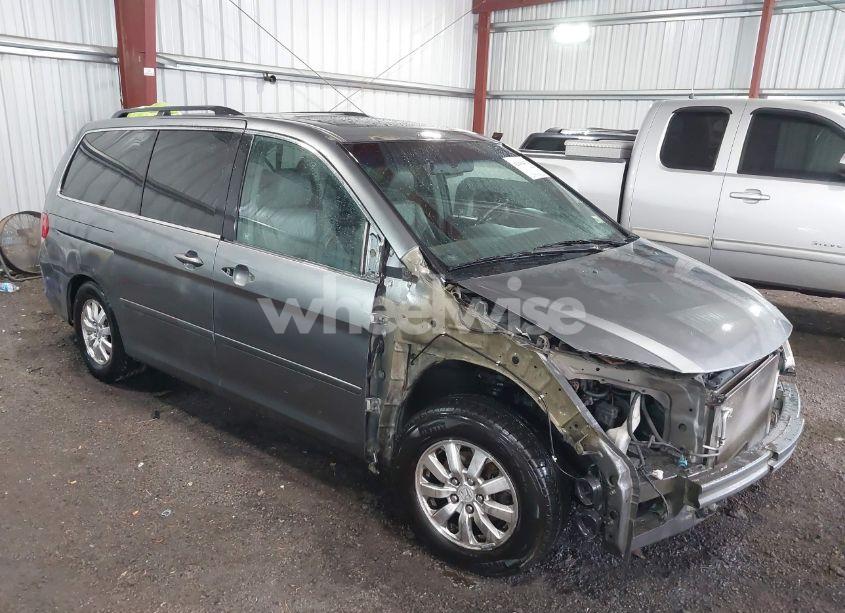 2009 Honda Odyssey EX-L (VIN 5FNRL38749B011910) main photo