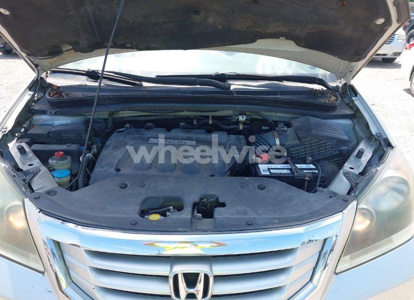 Photo 10 of 2009 Honda Odyssey EX-L (VIN 5FNRL38749B030960)