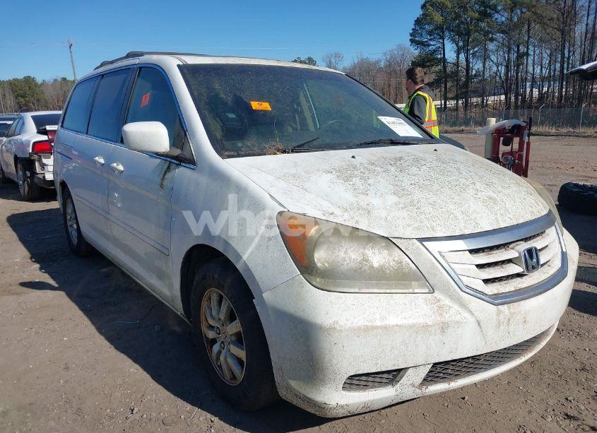 2009 Honda Odyssey EX-L (VIN 5FNRL38749B404449) main photo