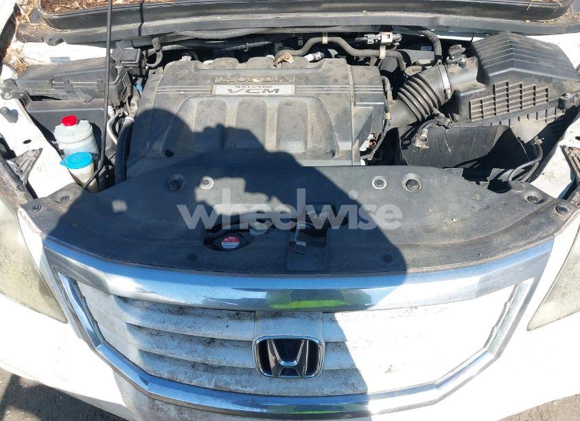 Photo 10 of 2009 Honda Odyssey EX-L (VIN 5FNRL38749B404449)