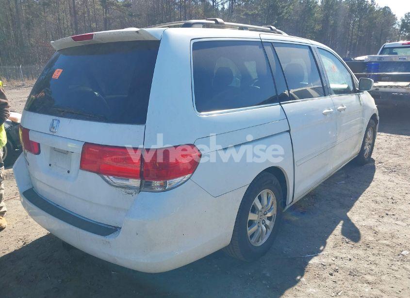 Photo 4 of 2009 Honda Odyssey EX-L (VIN 5FNRL38749B404449)