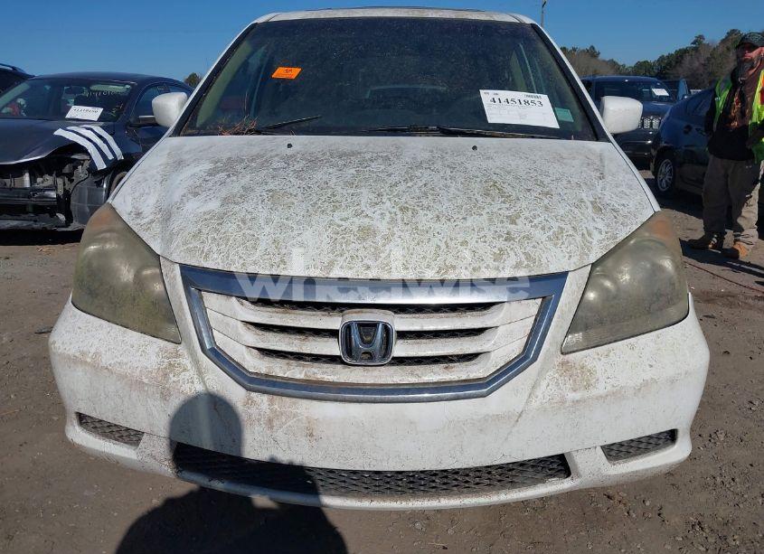 Photo 6 of 2009 Honda Odyssey EX-L (VIN 5FNRL38749B404449)