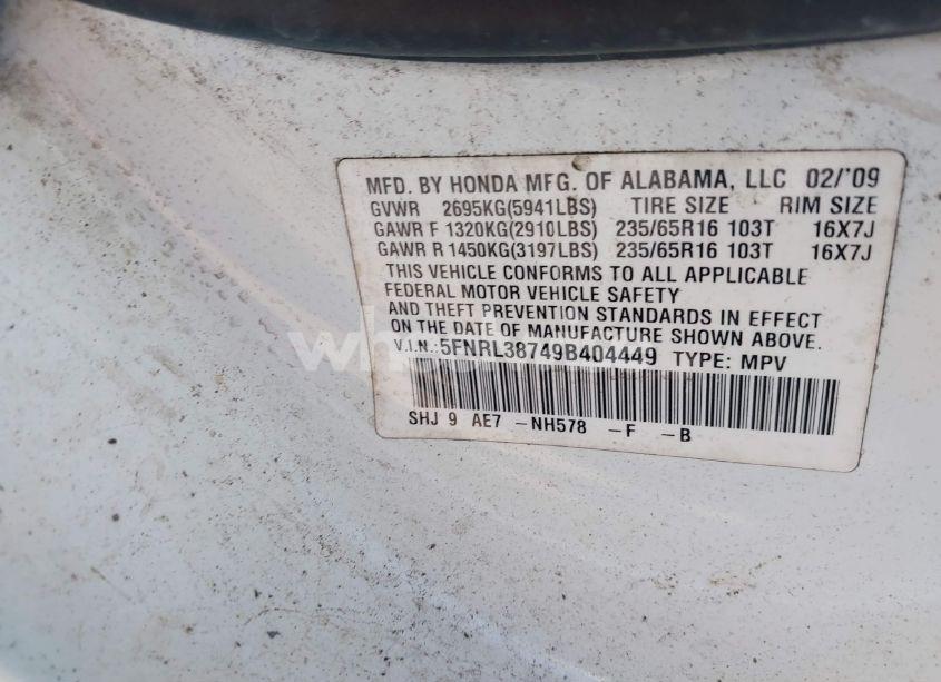 Photo 9 of 2009 Honda Odyssey EX-L (VIN 5FNRL38749B404449)