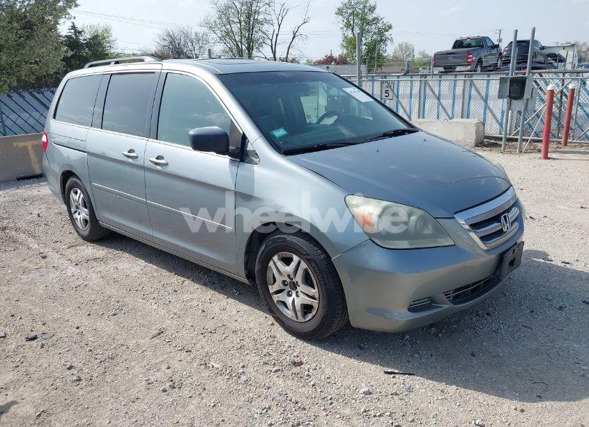 2005 Honda Odyssey EX-L (VIN 5FNRL38755B014826) main photo