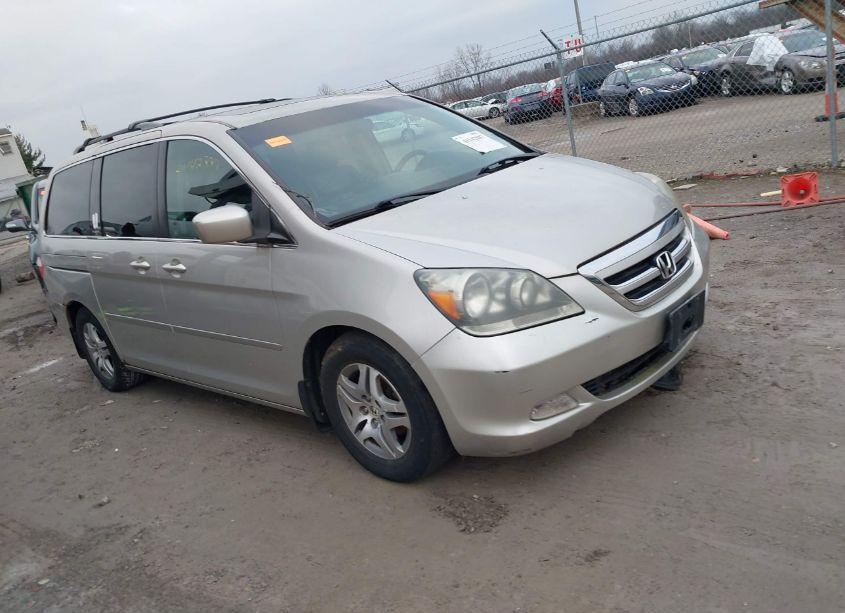 2005 Honda Odyssey EX-L (VIN 5FNRL38755B035286) main photo