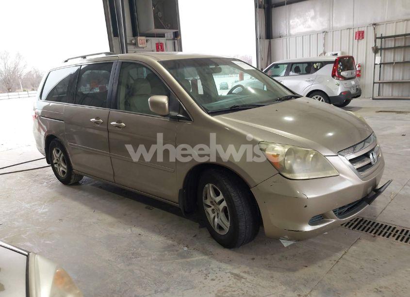 2005 Honda Odyssey EX-L (VIN 5FNRL38755B075996) main photo