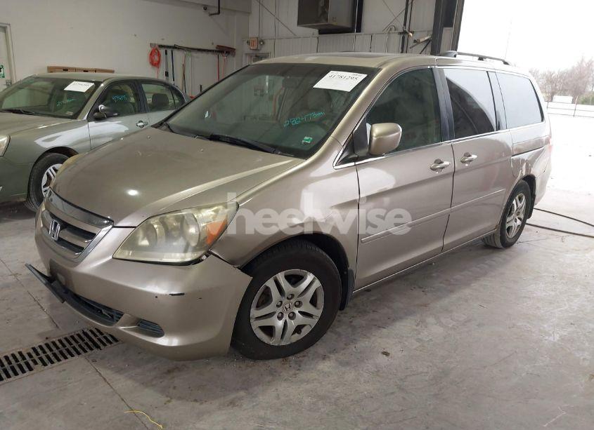Photo 2 of 2005 Honda Odyssey EX-L (VIN 5FNRL38755B075996)