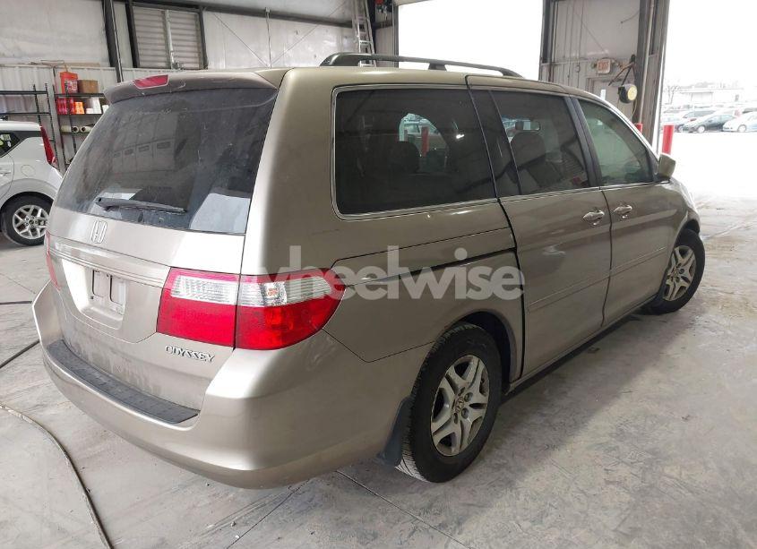 Photo 4 of 2005 Honda Odyssey EX-L (VIN 5FNRL38755B075996)