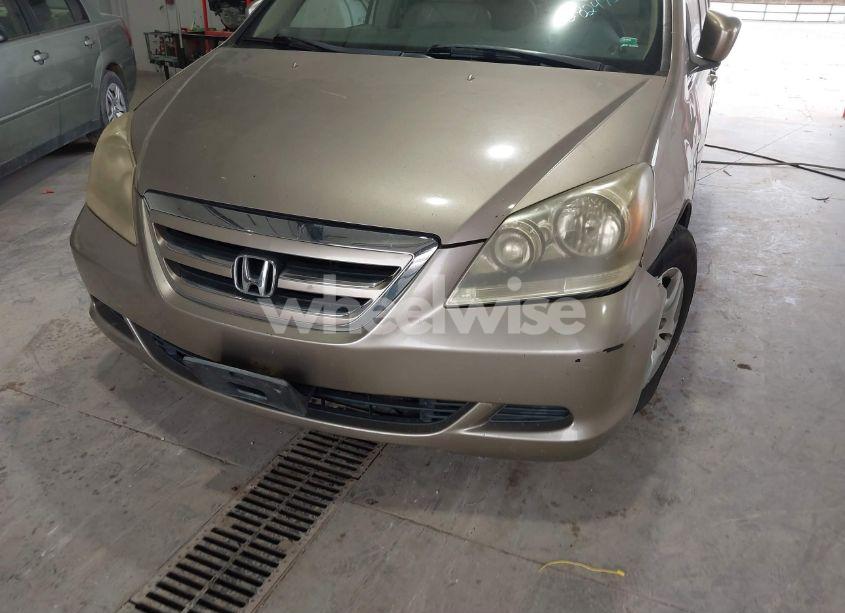 Photo 6 of 2005 Honda Odyssey EX-L (VIN 5FNRL38755B075996)