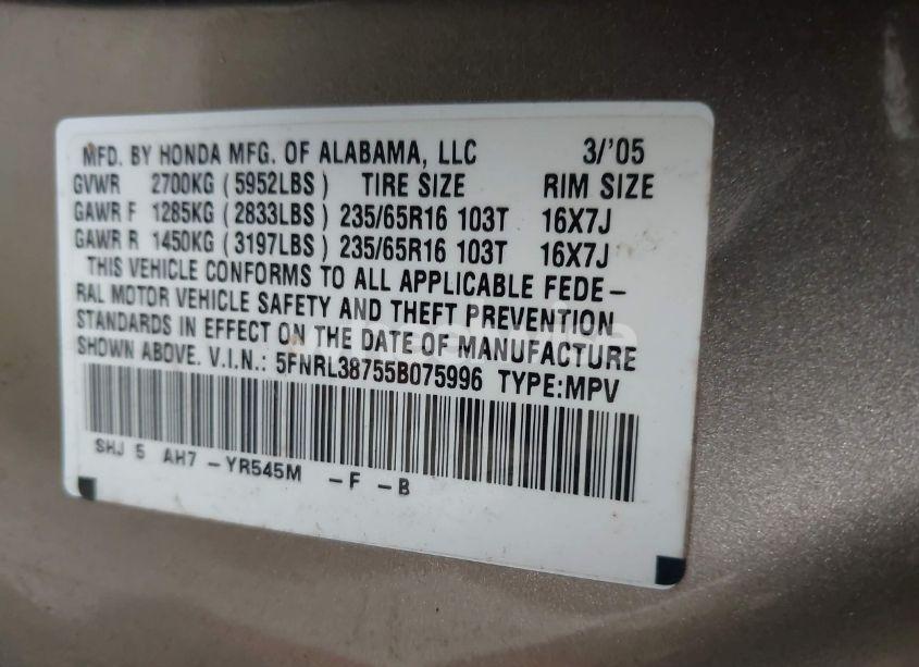 Photo 9 of 2005 Honda Odyssey EX-L (VIN 5FNRL38755B075996)