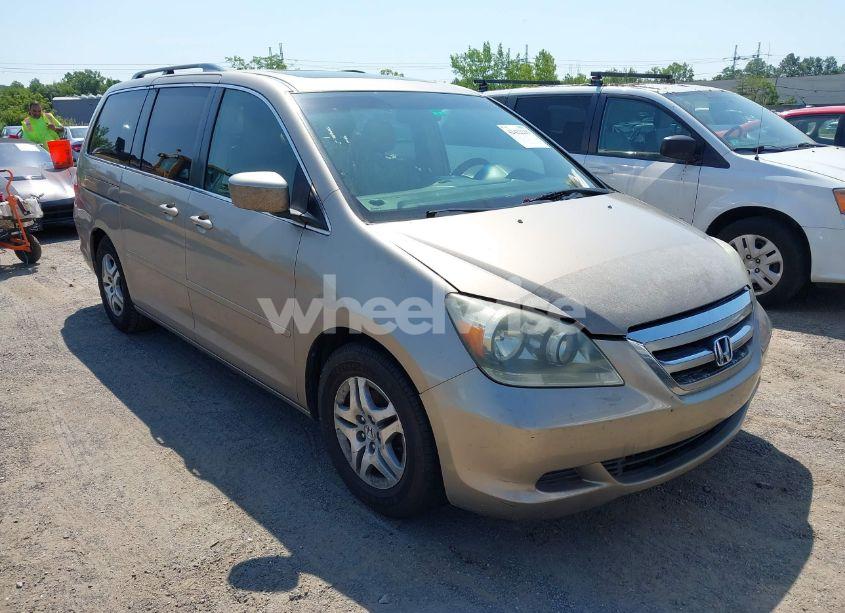 2005 Honda Odyssey EX-L (VIN 5FNRL38755B107829) main photo