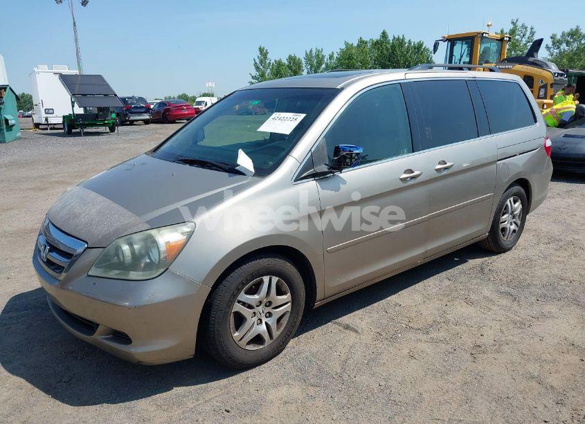 Photo 6 of 2005 Honda Odyssey EX-L (VIN 5FNRL38755B107829)