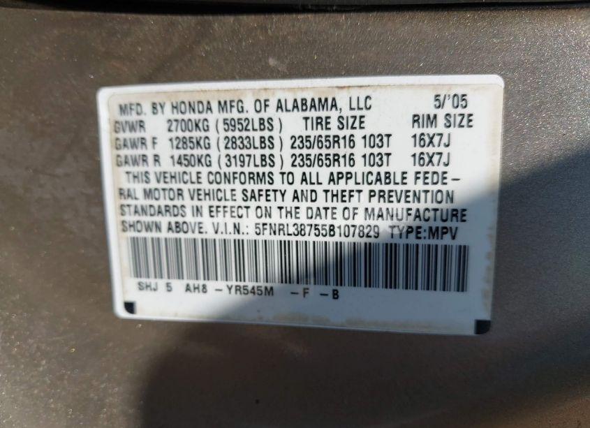 Photo 9 of 2005 Honda Odyssey EX-L (VIN 5FNRL38755B107829)