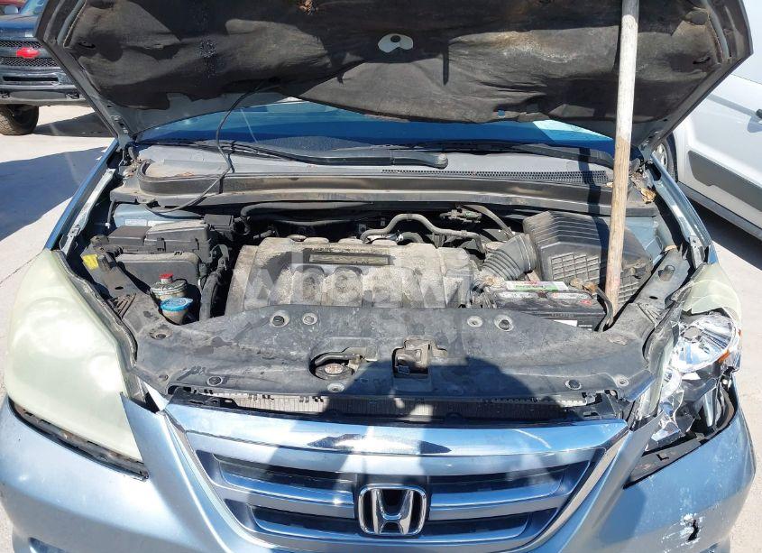 Photo 10 of 2006 Honda Odyssey EX-L (VIN 5FNRL38756B011426)