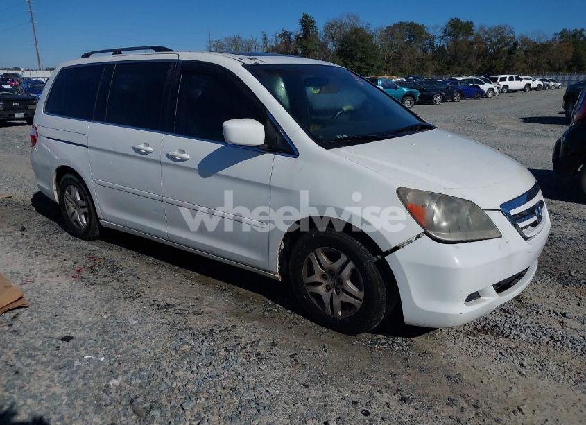 2006 Honda Odyssey EX-L (VIN 5FNRL38756B431963) main photo