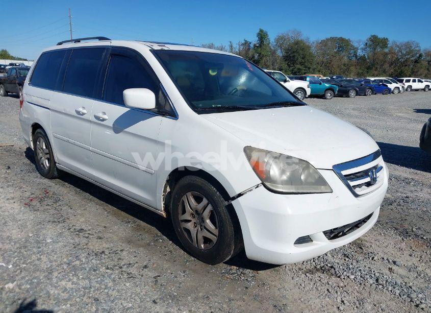 Photo 6 of 2006 Honda Odyssey EX-L (VIN 5FNRL38756B431963)