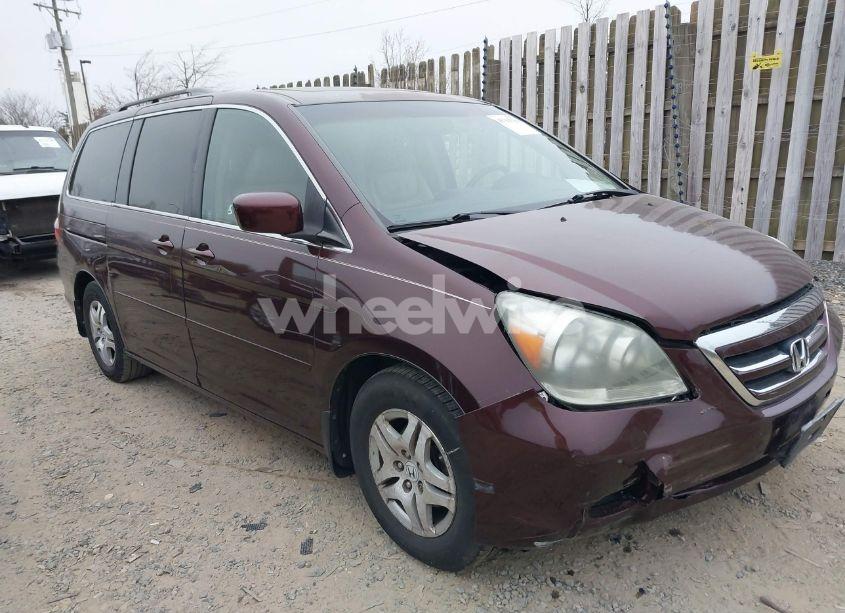 2007 Honda Odyssey EX-L (VIN 5FNRL38757B401847) main photo