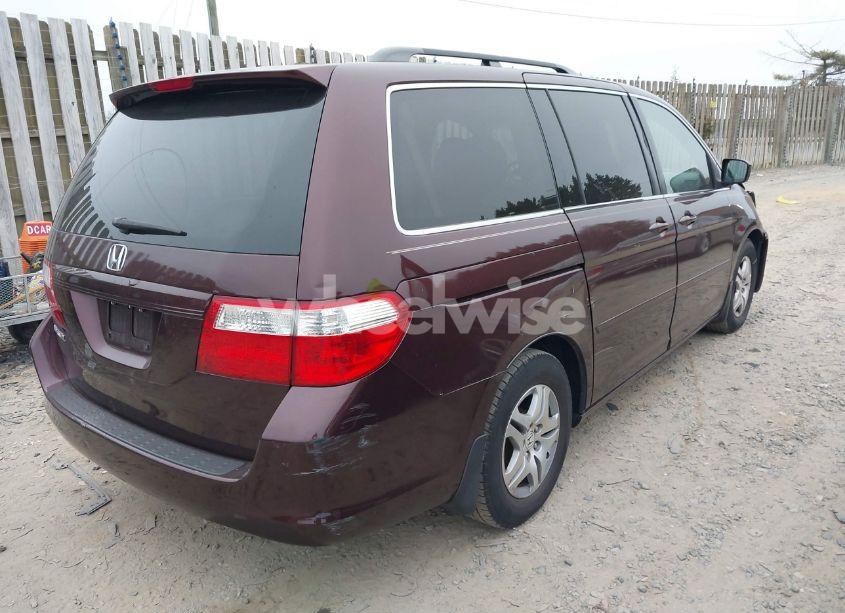 Photo 4 of 2007 Honda Odyssey EX-L (VIN 5FNRL38757B401847)