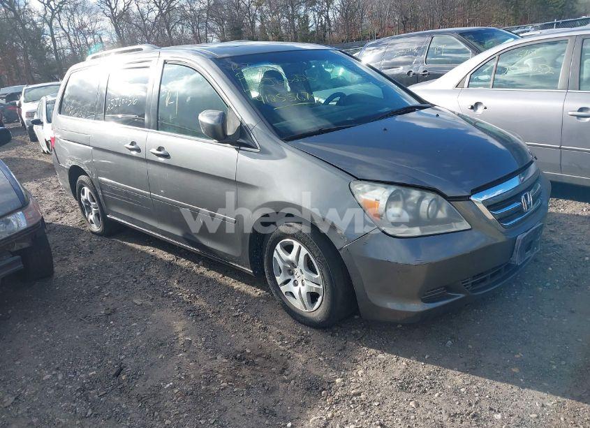 2007 Honda Odyssey EX-L (VIN 5FNRL38757B406921) main photo