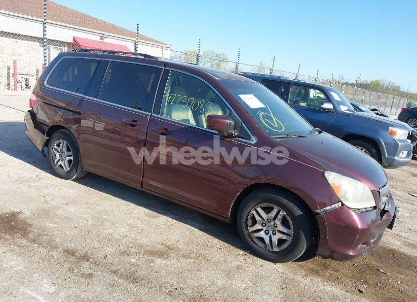 2007 Honda Odyssey EX-L (VIN 5FNRL38757B407969) main photo