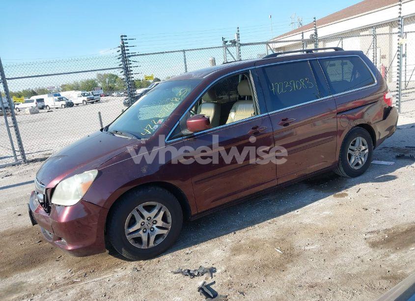 Photo 2 of 2007 Honda Odyssey EX-L (VIN 5FNRL38757B407969)