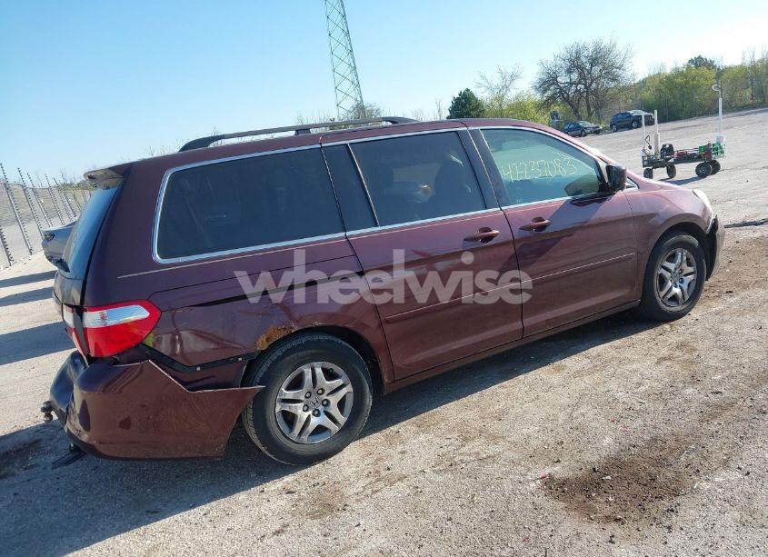Photo 4 of 2007 Honda Odyssey EX-L (VIN 5FNRL38757B407969)