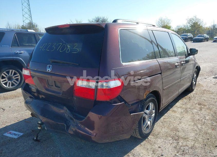 Photo 6 of 2007 Honda Odyssey EX-L (VIN 5FNRL38757B407969)