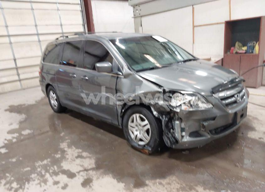 2007 Honda Odyssey EX-L (VIN 5FNRL38757B461739) main photo