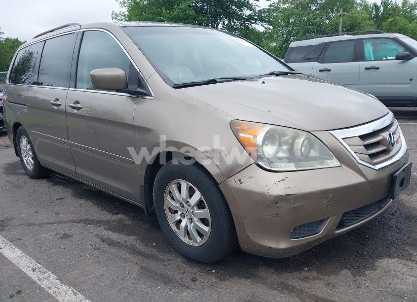 2008 Honda Odyssey EX-L (VIN 5FNRL38758B116664) main photo