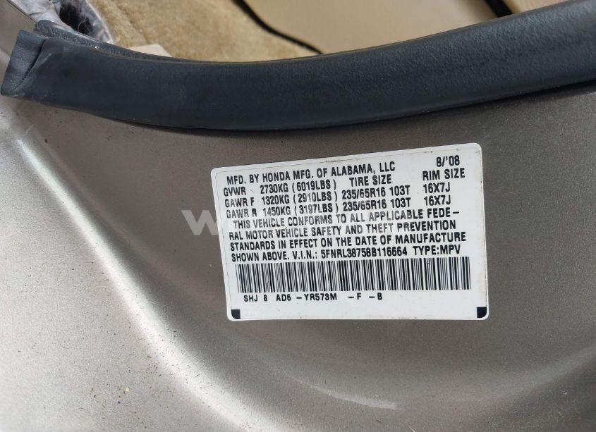 Photo 9 of 2008 Honda Odyssey EX-L (VIN 5FNRL38758B116664)