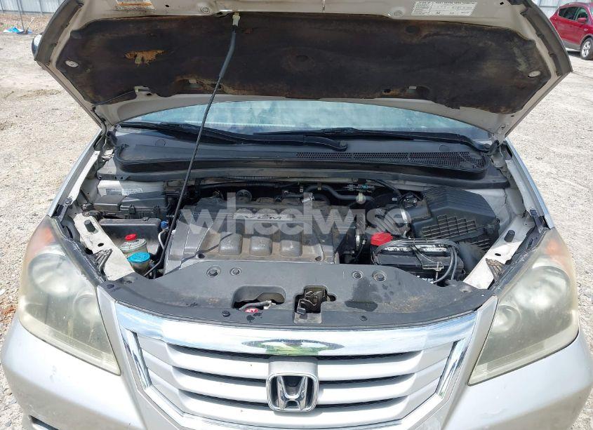 Photo 10 of 2009 Honda Odyssey EX-L (VIN 5FNRL38759B001452)