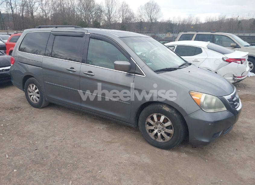 2009 Honda Odyssey EX-L (VIN 5FNRL38759B018087) main photo