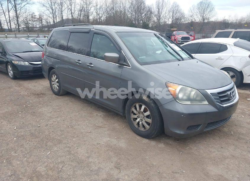 Photo 6 of 2009 Honda Odyssey EX-L (VIN 5FNRL38759B018087)