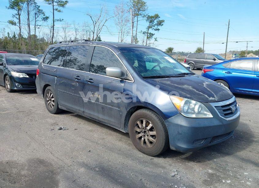 2009 Honda Odyssey EX-L (VIN 5FNRL38759B052451) main photo
