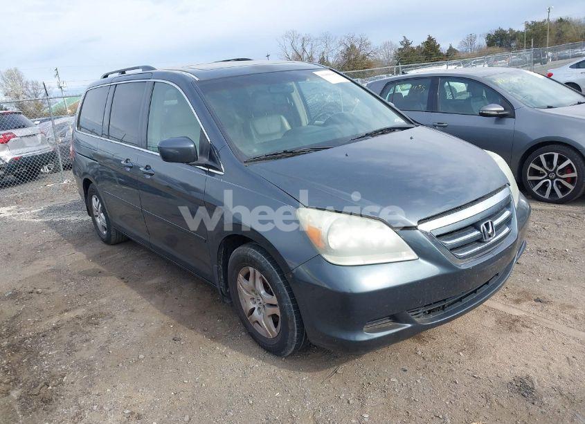 2005 Honda Odyssey EX-L (VIN 5FNRL38765B070922) main photo