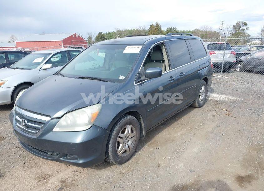 Photo 2 of 2005 Honda Odyssey EX-L (VIN 5FNRL38765B070922)
