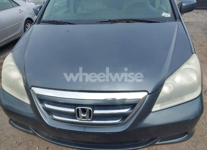 Photo 6 of 2005 Honda Odyssey EX-L (VIN 5FNRL38765B070922)