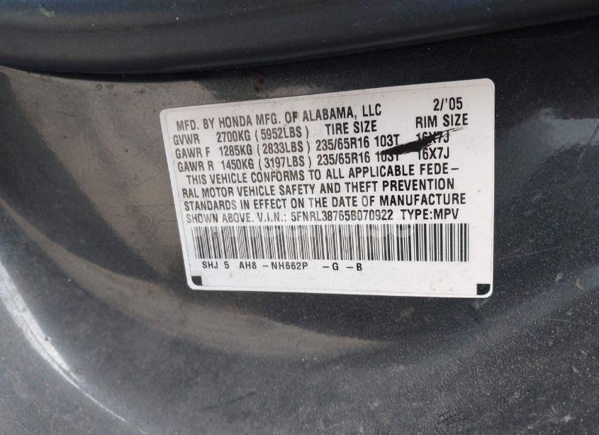 Photo 9 of 2005 Honda Odyssey EX-L (VIN 5FNRL38765B070922)