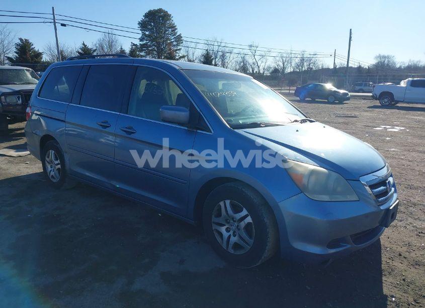 2005 Honda Odyssey EX-L (VIN 5FNRL38765B076591) main photo