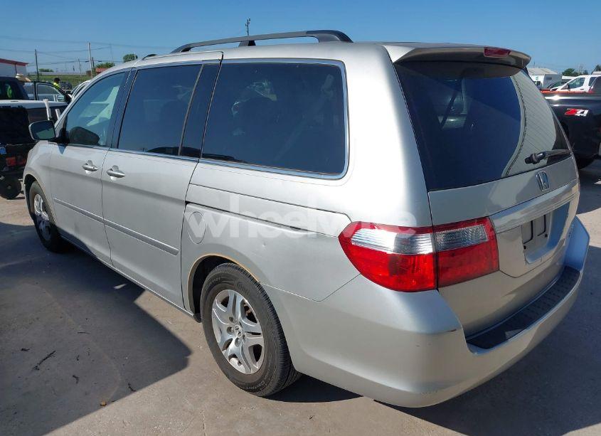 Photo 3 of 2005 Honda Odyssey EX-L (VIN 5FNRL38765B090510)
