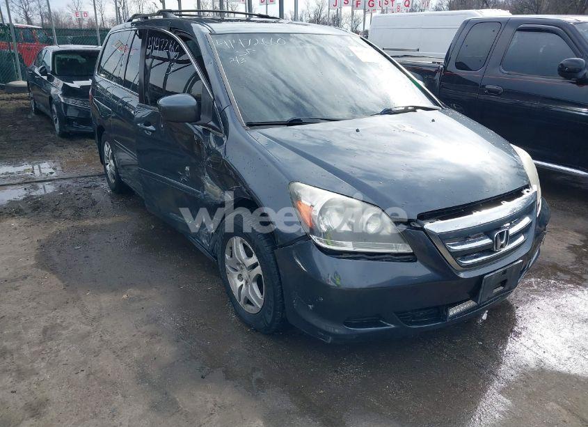 2005 Honda Odyssey EX-L (VIN 5FNRL38765B093794) main photo