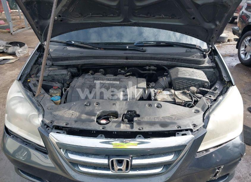 Photo 10 of 2005 Honda Odyssey EX-L (VIN 5FNRL38765B093794)