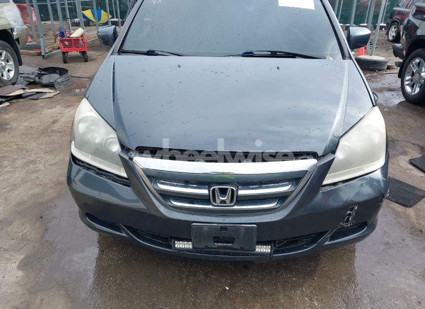 Photo 18 of 2005 Honda Odyssey EX-L (VIN 5FNRL38765B093794)