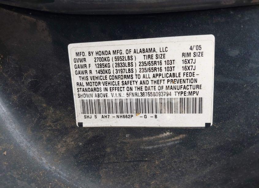 Photo 9 of 2005 Honda Odyssey EX-L (VIN 5FNRL38765B093794)