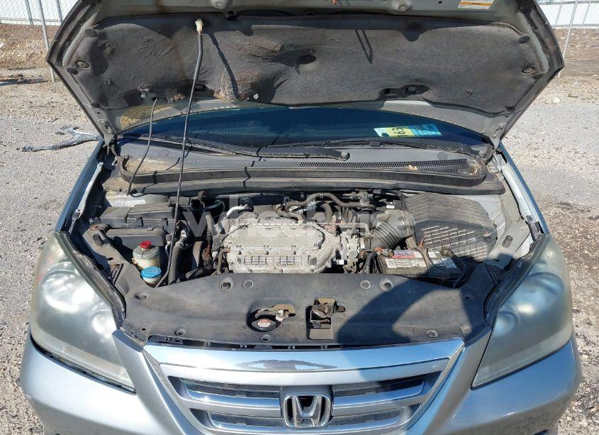 Photo 10 of 2005 Honda Odyssey EX-L (VIN 5FNRL38765B095027)