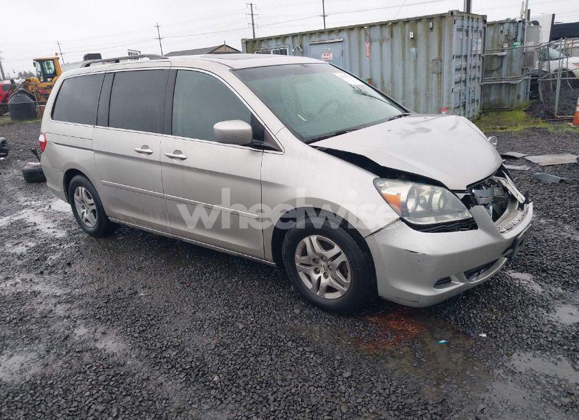 2005 Honda Odyssey EX-L (VIN 5FNRL38765B135073) main photo