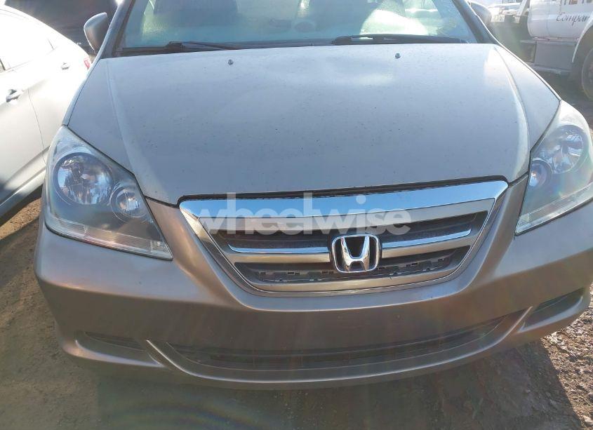 Photo 6 of 2006 Honda Odyssey EX-L (VIN 5FNRL38766B060912)