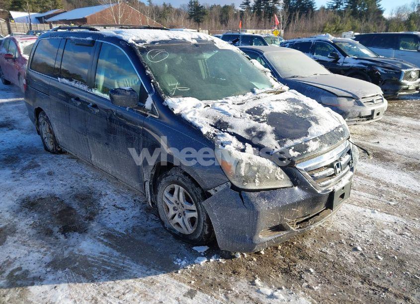 2006 Honda Odyssey EX-L (VIN 5FNRL38766B097197) main photo